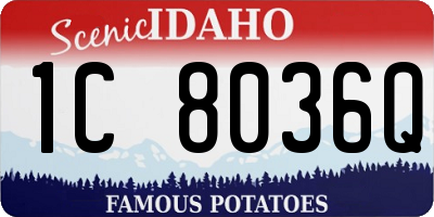 ID license plate 1C8036Q