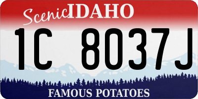 ID license plate 1C8037J