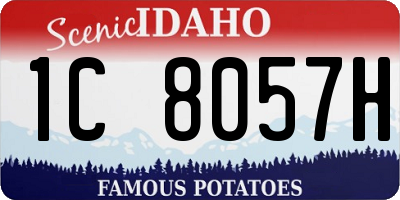 ID license plate 1C8057H