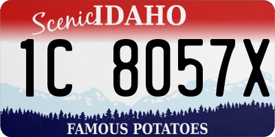 ID license plate 1C8057X