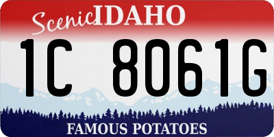 ID license plate 1C8061G