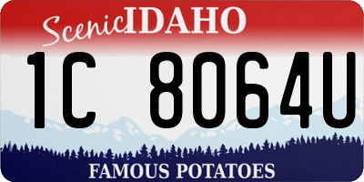 ID license plate 1C8064U