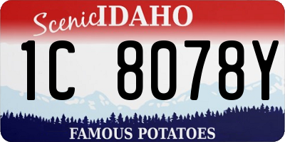ID license plate 1C8078Y