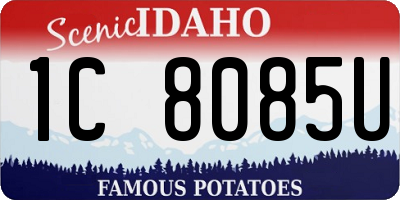 ID license plate 1C8085U