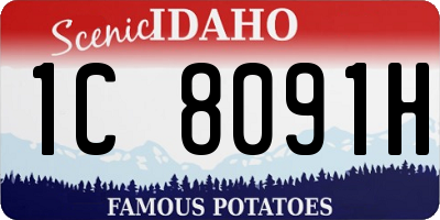 ID license plate 1C8091H