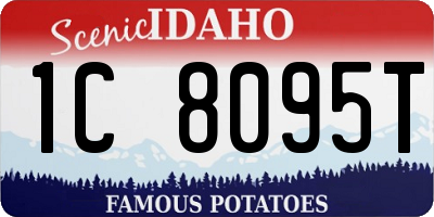 ID license plate 1C8095T