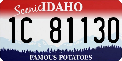 ID license plate 1C8113O