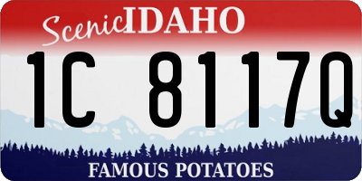 ID license plate 1C8117Q