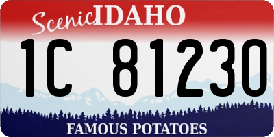 ID license plate 1C8123O