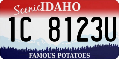 ID license plate 1C8123U