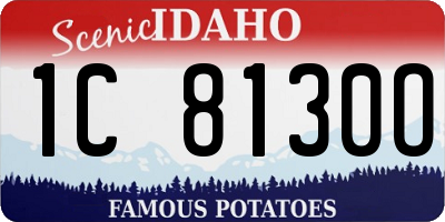 ID license plate 1C8130O