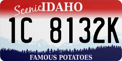 ID license plate 1C8132K