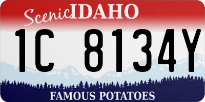 ID license plate 1C8134Y