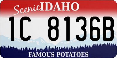 ID license plate 1C8136B
