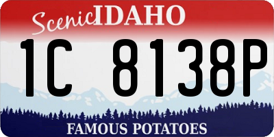 ID license plate 1C8138P