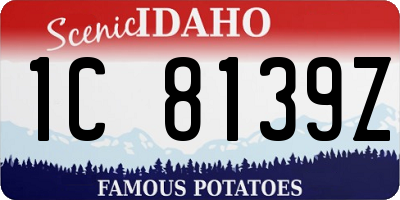 ID license plate 1C8139Z