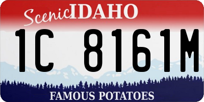 ID license plate 1C8161M