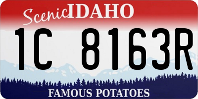 ID license plate 1C8163R