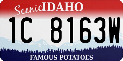 ID license plate 1C8163W
