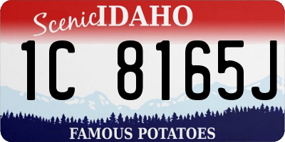 ID license plate 1C8165J