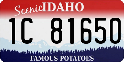 ID license plate 1C8165O