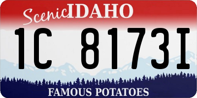 ID license plate 1C8173I