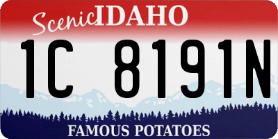 ID license plate 1C8191N