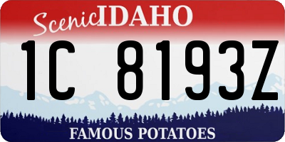 ID license plate 1C8193Z