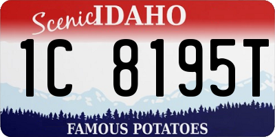 ID license plate 1C8195T