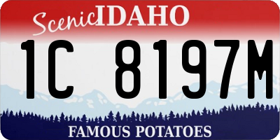 ID license plate 1C8197M