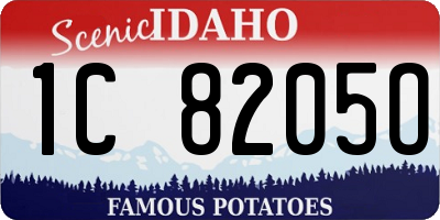 ID license plate 1C8205O