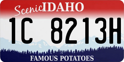 ID license plate 1C8213H