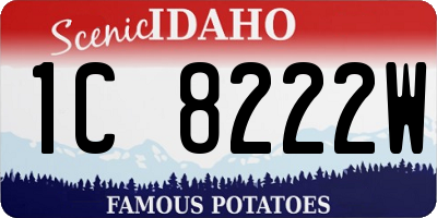 ID license plate 1C8222W