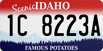 ID license plate 1C8223A