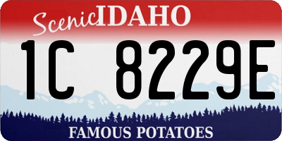 ID license plate 1C8229E