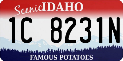 ID license plate 1C8231N