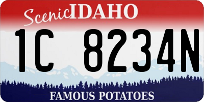 ID license plate 1C8234N