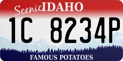 ID license plate 1C8234P