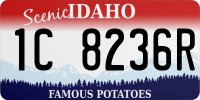 ID license plate 1C8236R