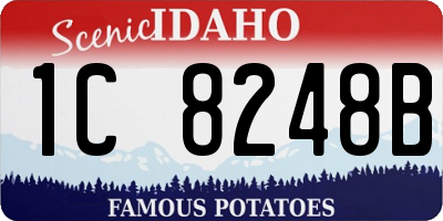 ID license plate 1C8248B