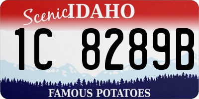 ID license plate 1C8289B
