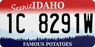 ID license plate 1C8291W