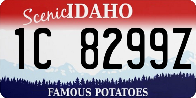 ID license plate 1C8299Z