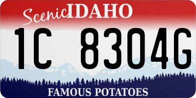 ID license plate 1C8304G