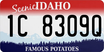 ID license plate 1C8309Q