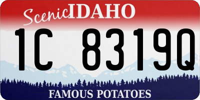 ID license plate 1C8319Q