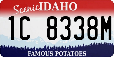 ID license plate 1C8338M