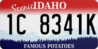 ID license plate 1C8341K