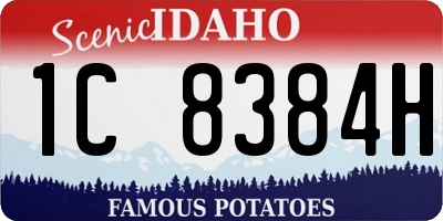 ID license plate 1C8384H