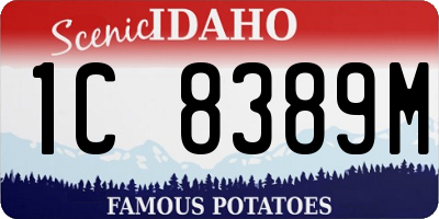ID license plate 1C8389M